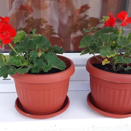 Apartamento M Bjelašnica