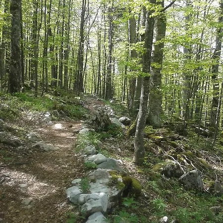 M Bjelašnica